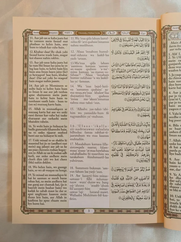The Holy Quran (Translation in Roman script) - Image 4