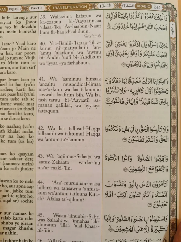 The Holy Quran (Translation in Roman script) - Image 6