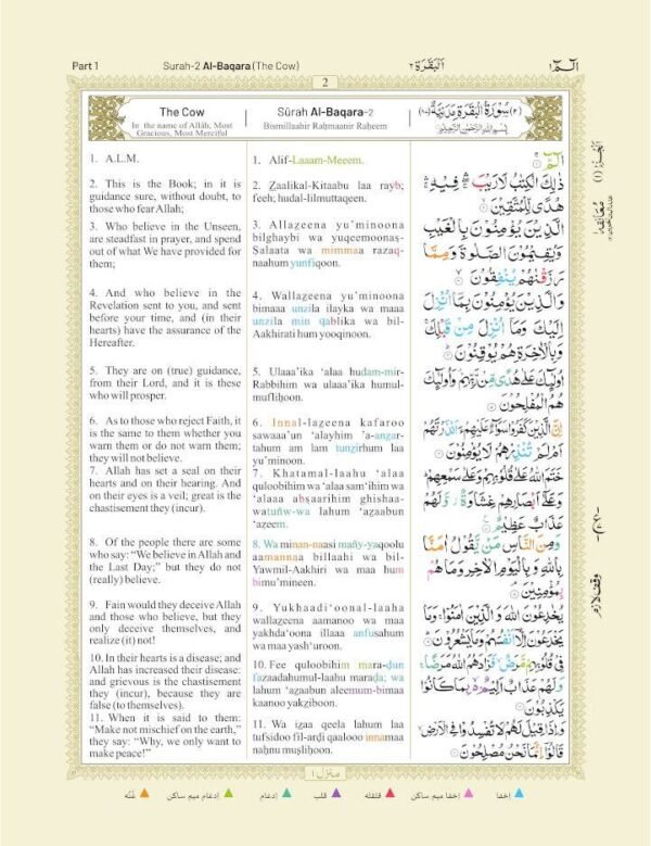 The Holy Quran color coded - Image 6