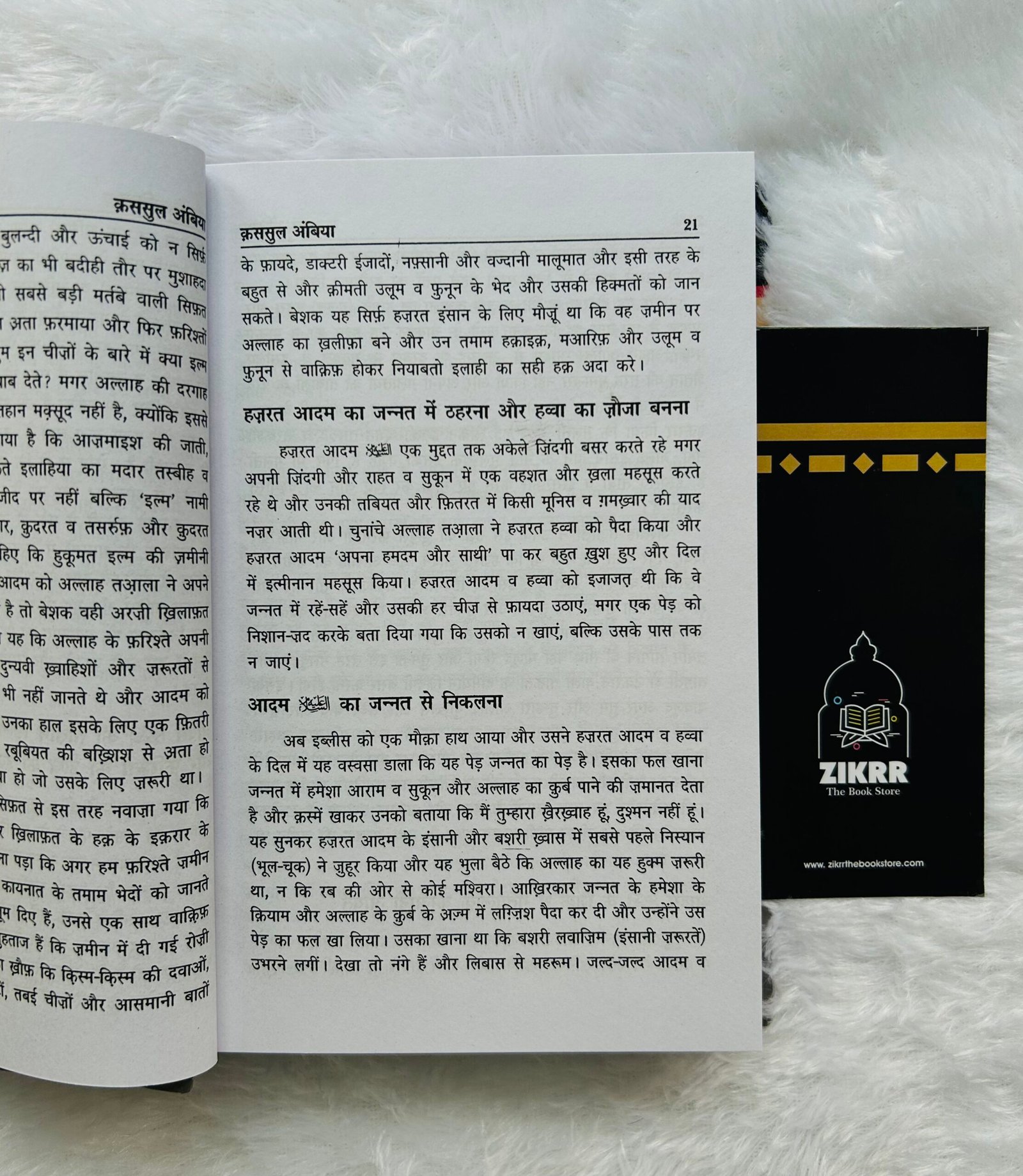 Qasasul Ambiya – Stories of The Prophets | HINDI - Image 4